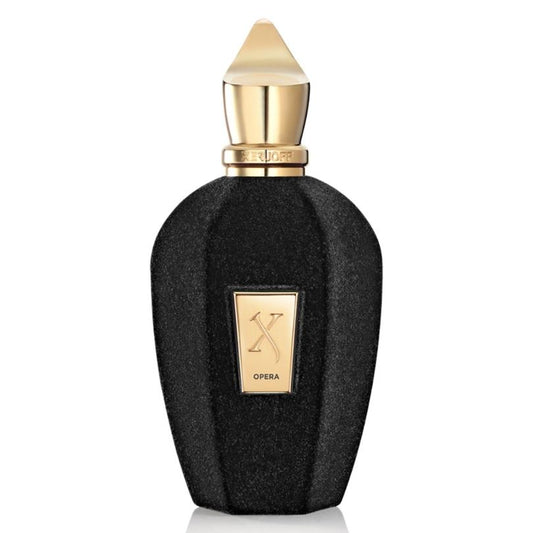 Parfum de haute qualité 100ml